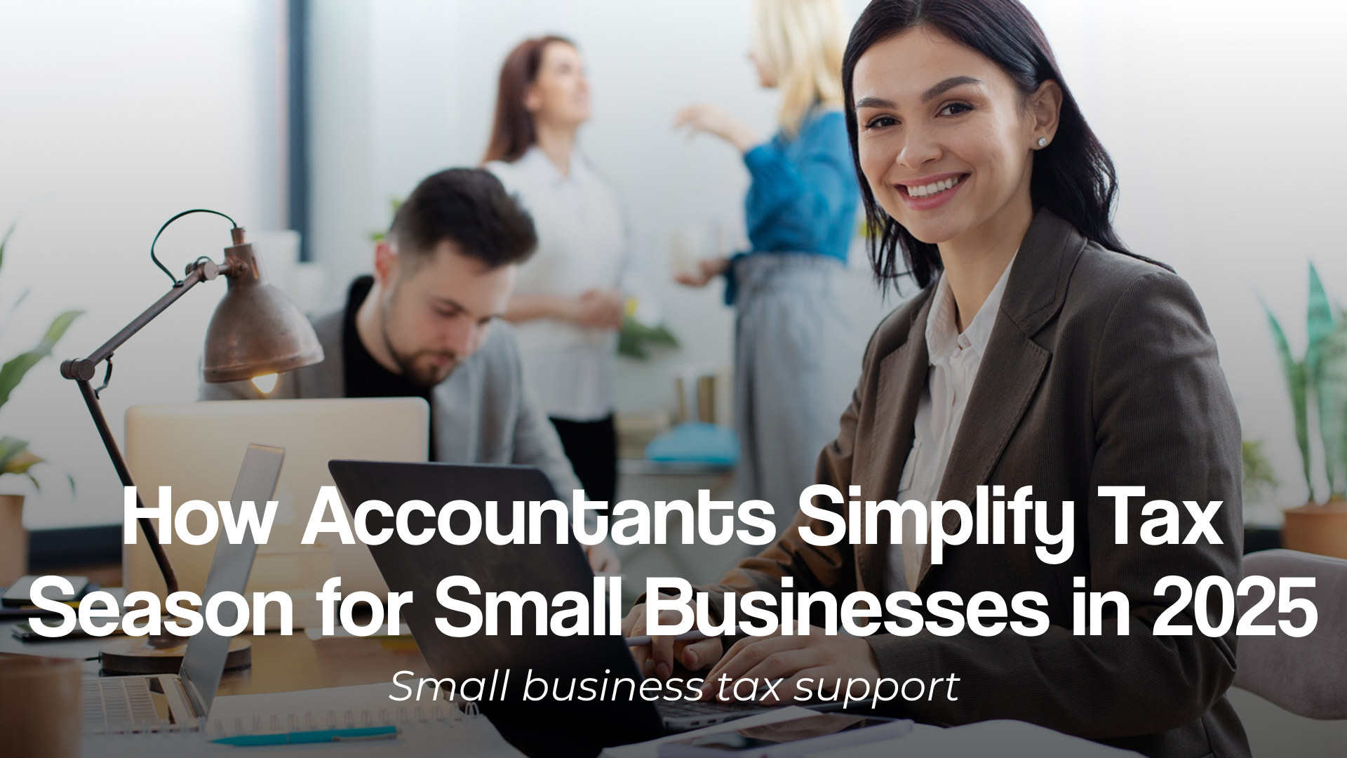 Accountants